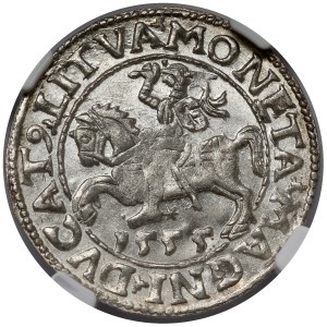Sigismund II. Augustus, halber Pfennig Vilnius 1555