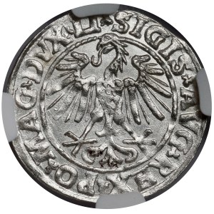 Sigismund II Augustus, Half-penny Vilnius 1547
