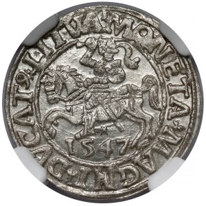 Sigismund II Augustus, Half-penny Vilnius 1547