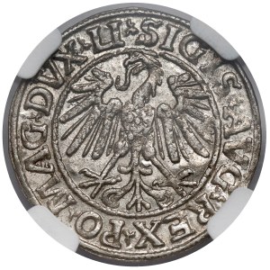 Sigismund II Augustus, Half-penny Vilnius 1547