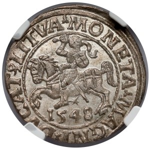 Sigismund II. Augustus, halber Pfennig Vilnius 1548
