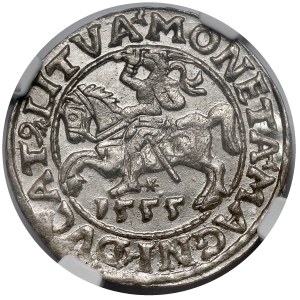 Sigismund II Augustus, Half-grosz Vilnius 1555