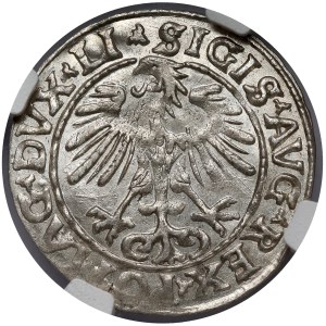 Sigismund II Augustus, Half-grosz Vilnius 1555