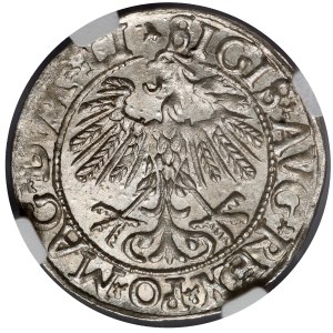 Sigismund II Augustus, Half-penny Vilnius 1558 - LITV