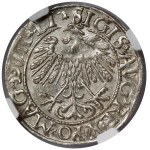 Sigismund II Augustus, Half-penny Vilnius 1558 - LITV