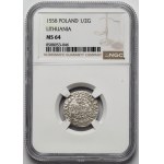 Sigismund II Augustus, Half-penny Vilnius 1558 - LITV