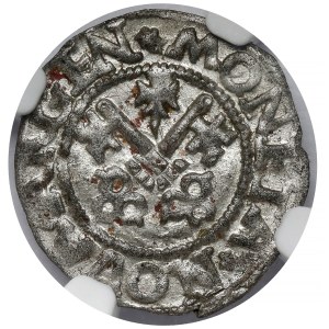Free City of Riga, Shelagh 1564