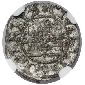 Free City of Riga, Shelagh 1564