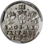 Sigismund III Vasa, Troika Vilnius 1598 - Chalecki - BEAUTIFUL
