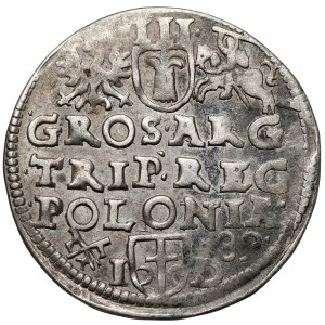 Žigmund III Vaza, Trojak Poznaň 1589 ID - vysoká koruna