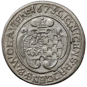 Śląsk, Ludwika Regentka, 6 krajcarów 1673, Brzeg