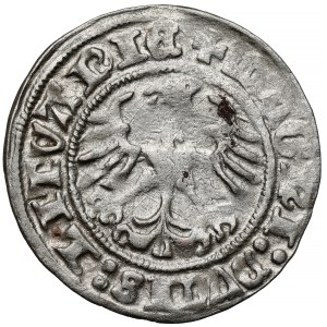 Zikmund I. Starý, půlpenny Vilnius 1511