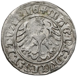 Sigismund I the Old, Half-grosz Vilnius 1513