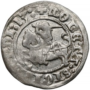 Zikmund I. Starý, půlpenny Vilnius 1513