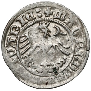 Zikmund I. Starý, půlpenny Vilnius 1513
