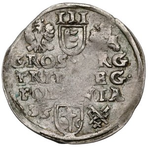 Stefan Batory, Trojak Poznaň 1585 - veľká hlava