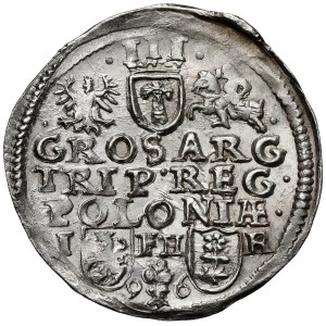 Sigismund III Vasa, Trojak Poznań 1596 - SIG III