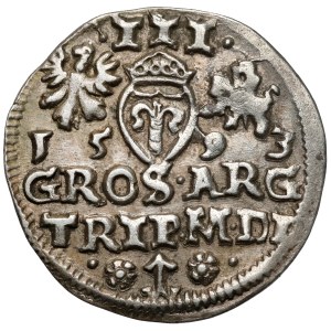 Sigismund III Vasa, Vilnius Troika 1593 - Platina - Platina