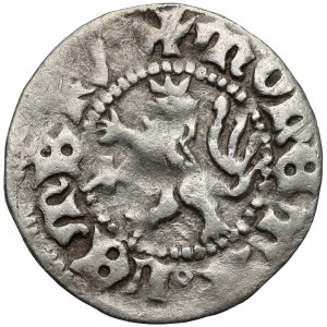 Vladislav II Jagiello, štvrťročník Ľvov - Malý lev