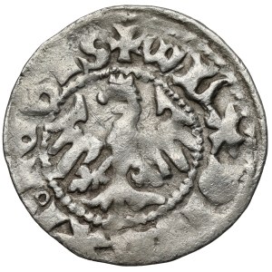 Vladislav II Jagiello, štvrťročník Ľvov - Malý lev