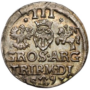 Sigismund III Vasa, Troika Vilnius 1593 - Dyla