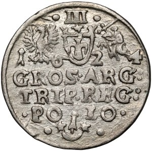 Sigismund III Vasa, Trojak Kraków 1624