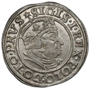 Sigismund I the Old, Grosz Gdańsk 1539 - beautiful