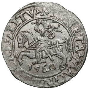 Sigismund II. Augustus, Halbpfennig Wilna 1560