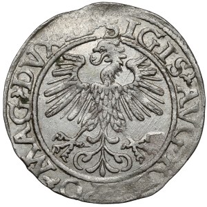 Sigismund II. Augustus, Halbpfennig Wilna 1560