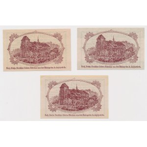 New Pond (Neuteich), 5, 10 et 50 fenig 1920 - set (3pcs)