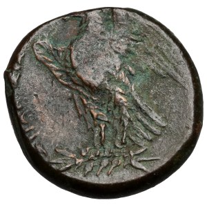 Grecja, Sycylia, Syrakuzy, Hiketas II (288-279 p.n.e.) AE22