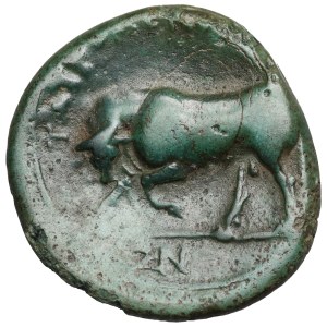 Greece, Sicily, Tauromenium (344-336 BC) AE20