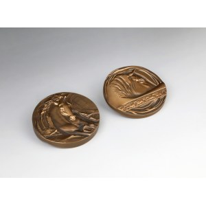 Folded Medal Year of the Horse (Anna Wątróbska-Wdowiarska)