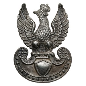 PSZnZ, Aquila wz. 39 - Gaunt