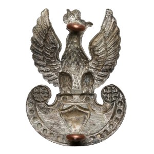 PSZnZ, Aquila wz. 39 - Gaunt