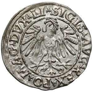 Sigismund II Augustus, Half-penny Vilnius 1547