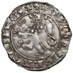 Bohemia, John I of Luxembourg (1310-1346) Prague penny