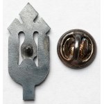 Badge and die, 50th anniversary of the scout orchestra 1945-1995 (?) - set (2pcs)