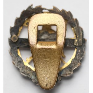 Austria-Hungary, Cap badge - Red Cross Society 1914-1915