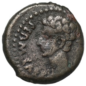 Octave Auguste (27 av. J.-C. - 14 ap. J.-C.) AE22, Colonia Patricia, Cordoue