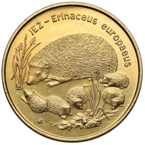 2 oro 1996 Riccio