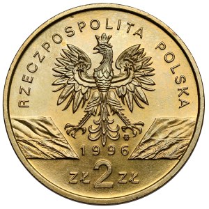 2 oro 1996 Riccio