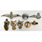 UK, Badges and other, RAF / RAFA - Royal Air Force - set (8pcs)