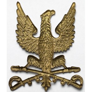 Orzeł organizacji polskich w USA