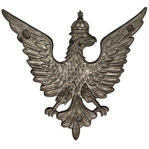 The eagle of Polish organizations in the USA