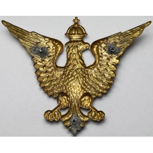 The eagle of Polish organizations in the USA