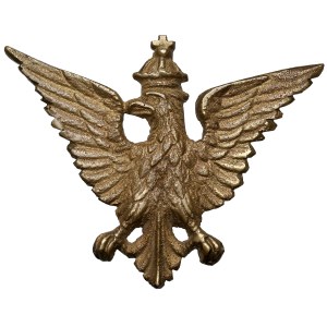 The eagle of Polish organizations in the USA