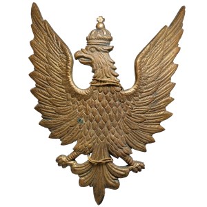 The eagle of Polish organizations in the USA