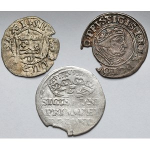 Ladislao II Jagiello e Sigismondo I il Vecchio, Mezzo penny e Penny - set (3 pezzi)