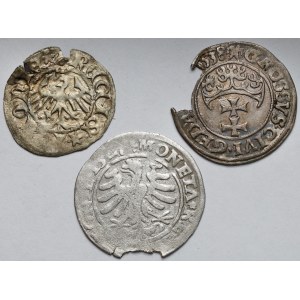 Ladislao II Jagiello e Sigismondo I il Vecchio, Mezzo penny e Penny - set (3 pezzi)